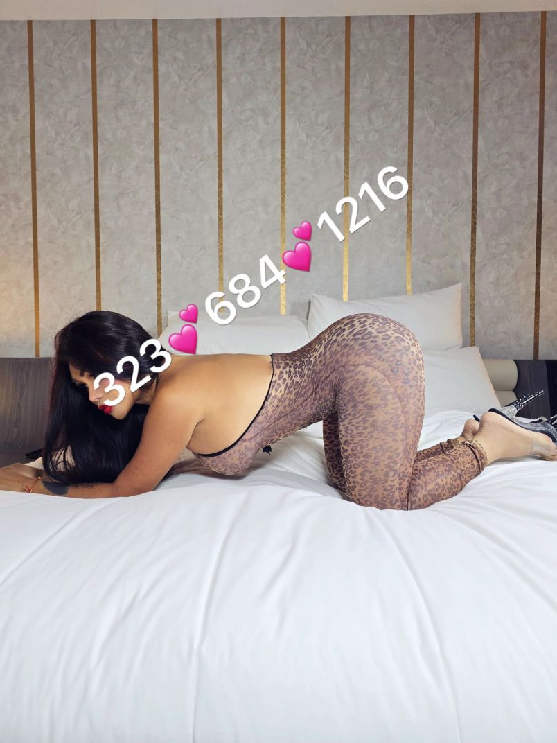 Sofia 5