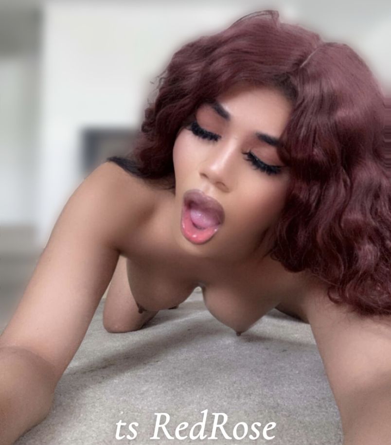 Leyomi Redrose 3