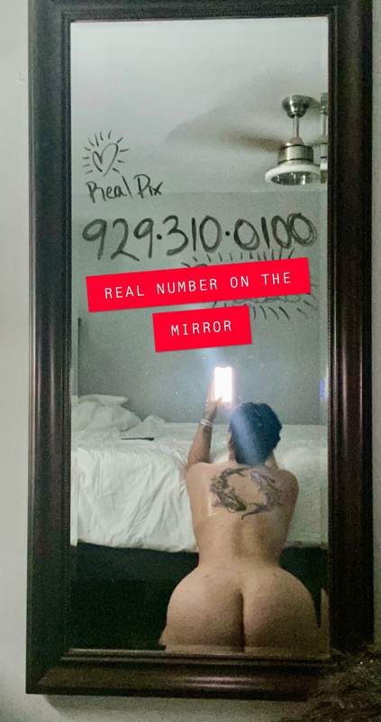 Trans Best Of Both Wo 8