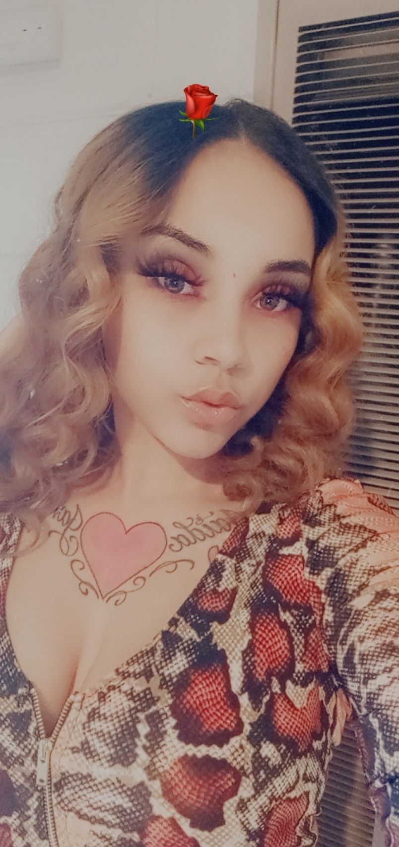 E X O T I C  S E X Y  9