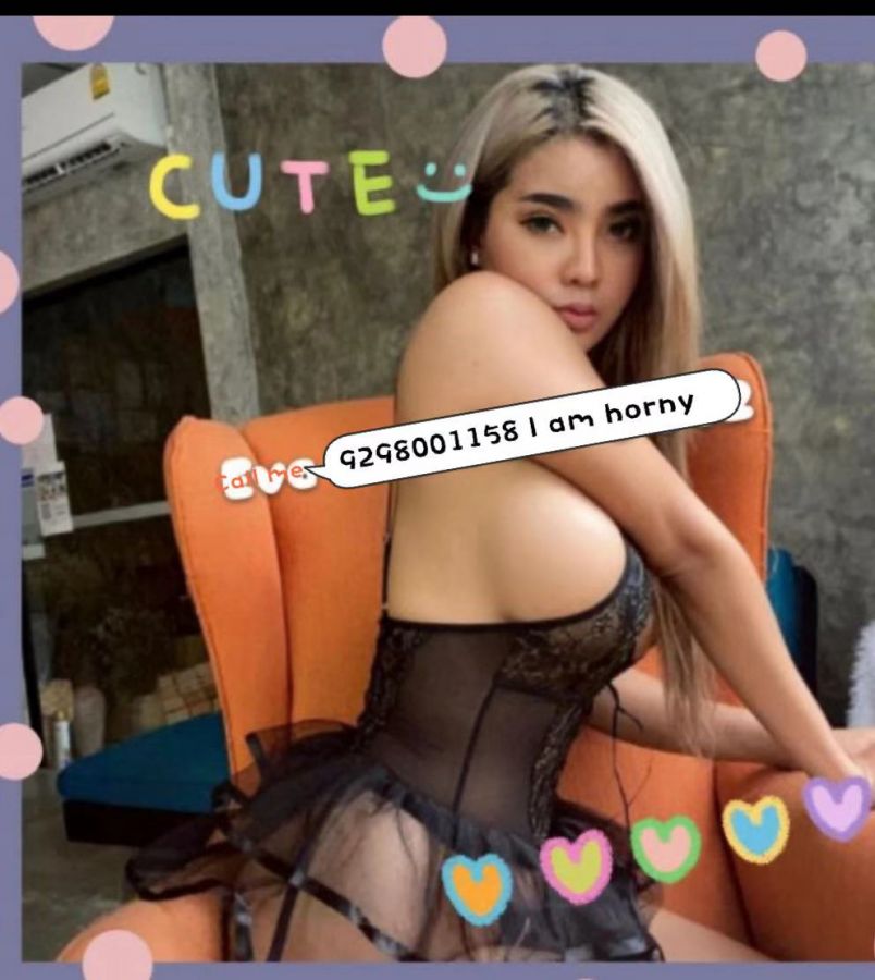 Bbfs Bbbj Gfe Dfk New 11