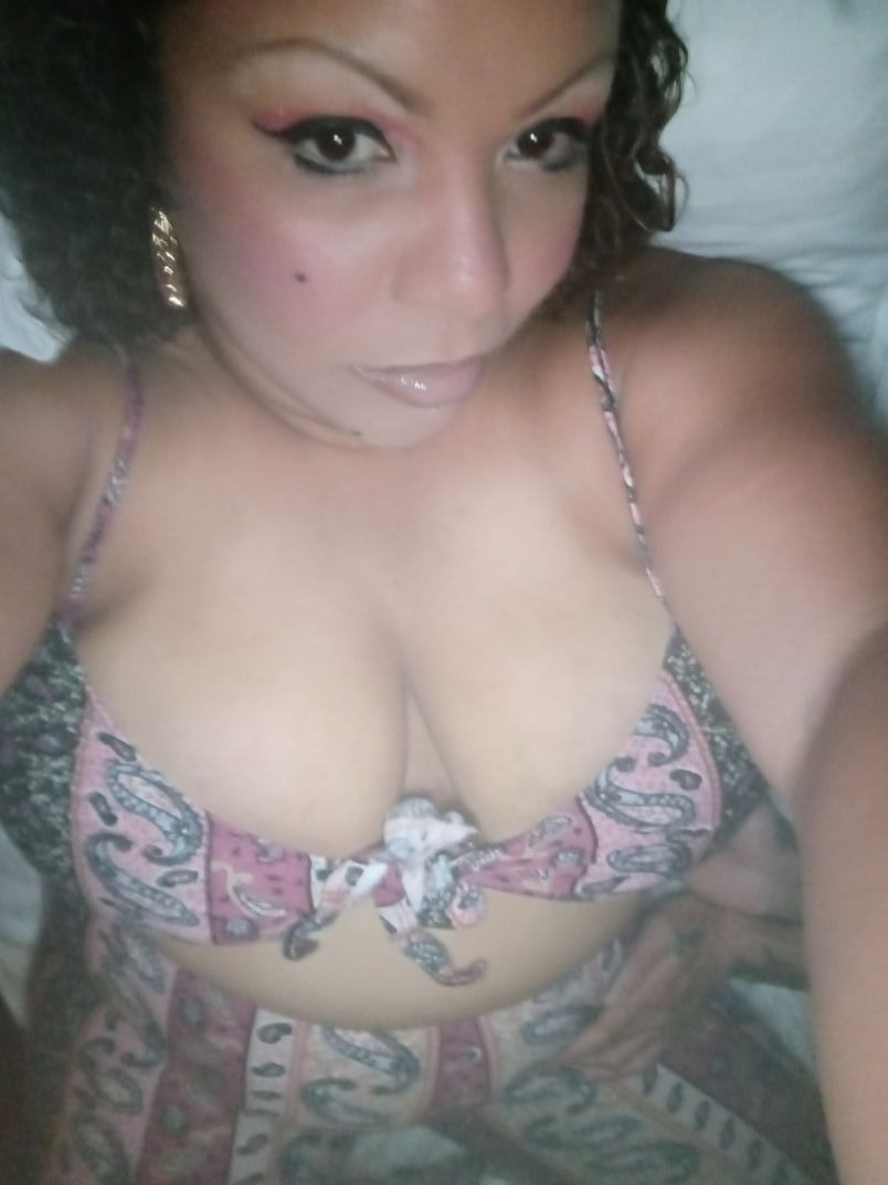 Stacy Latina Dds Lati 7