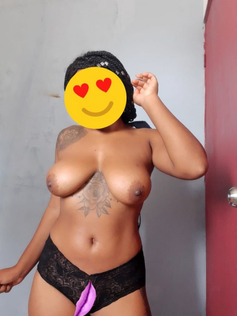 Angelica 1