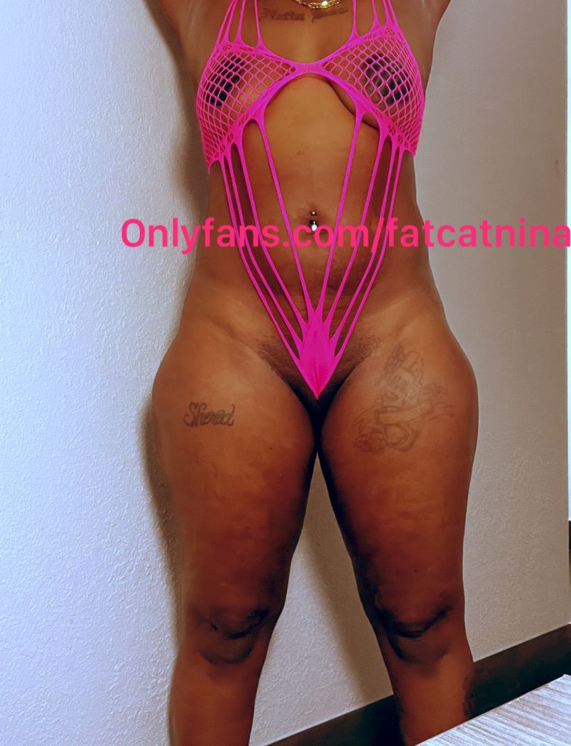 Fatcatnina 6