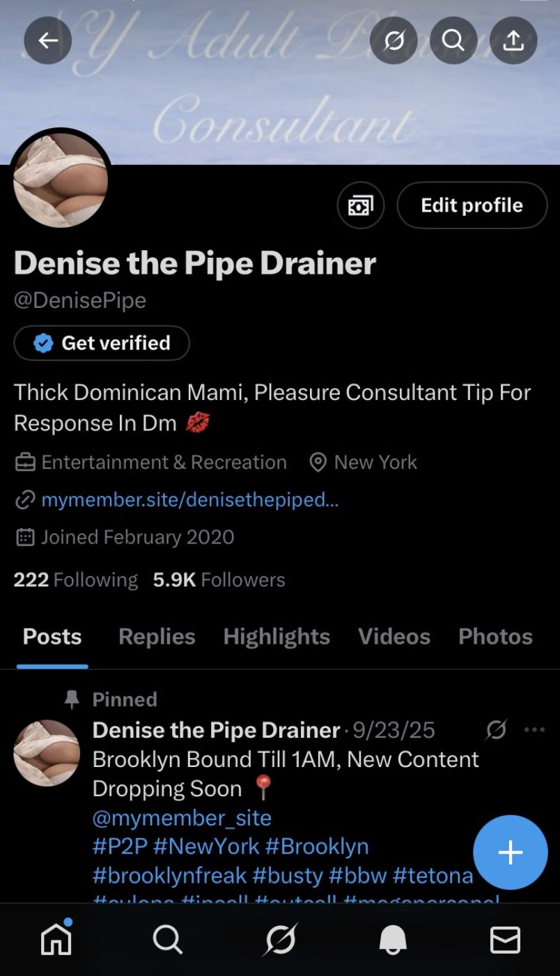 Denise The Pipe Drain 9