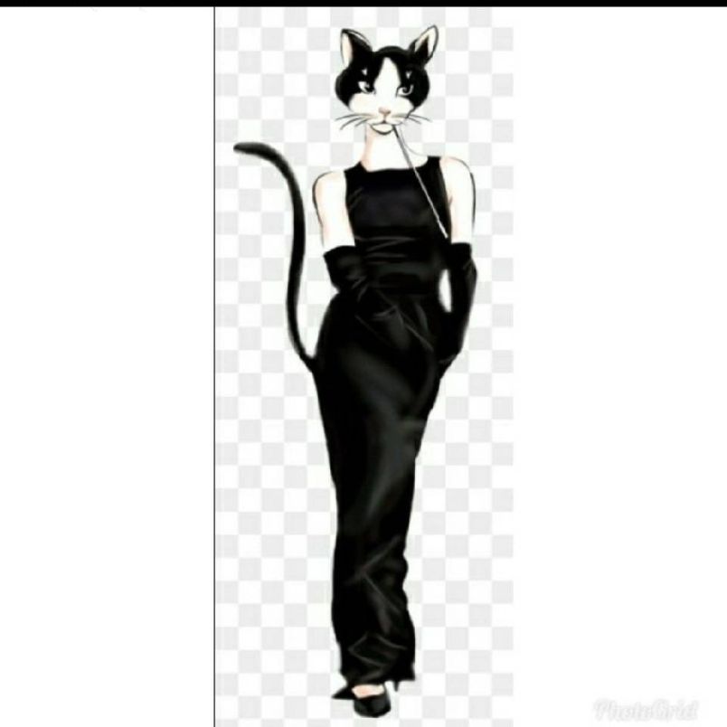 Asiancat 1