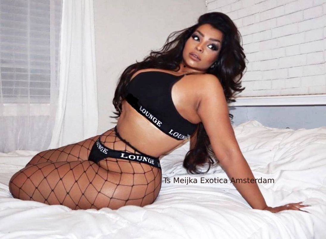 Exotica 7