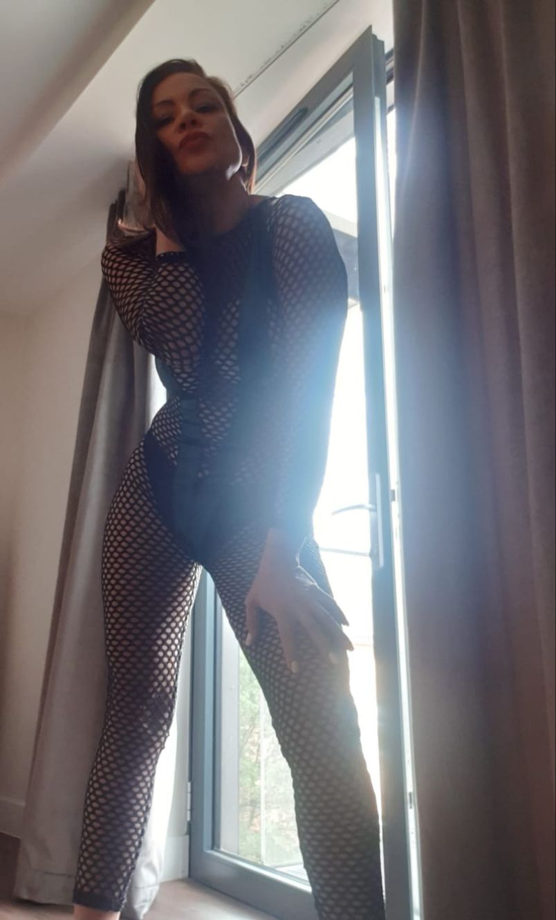 Scarlet Paraiso 1
