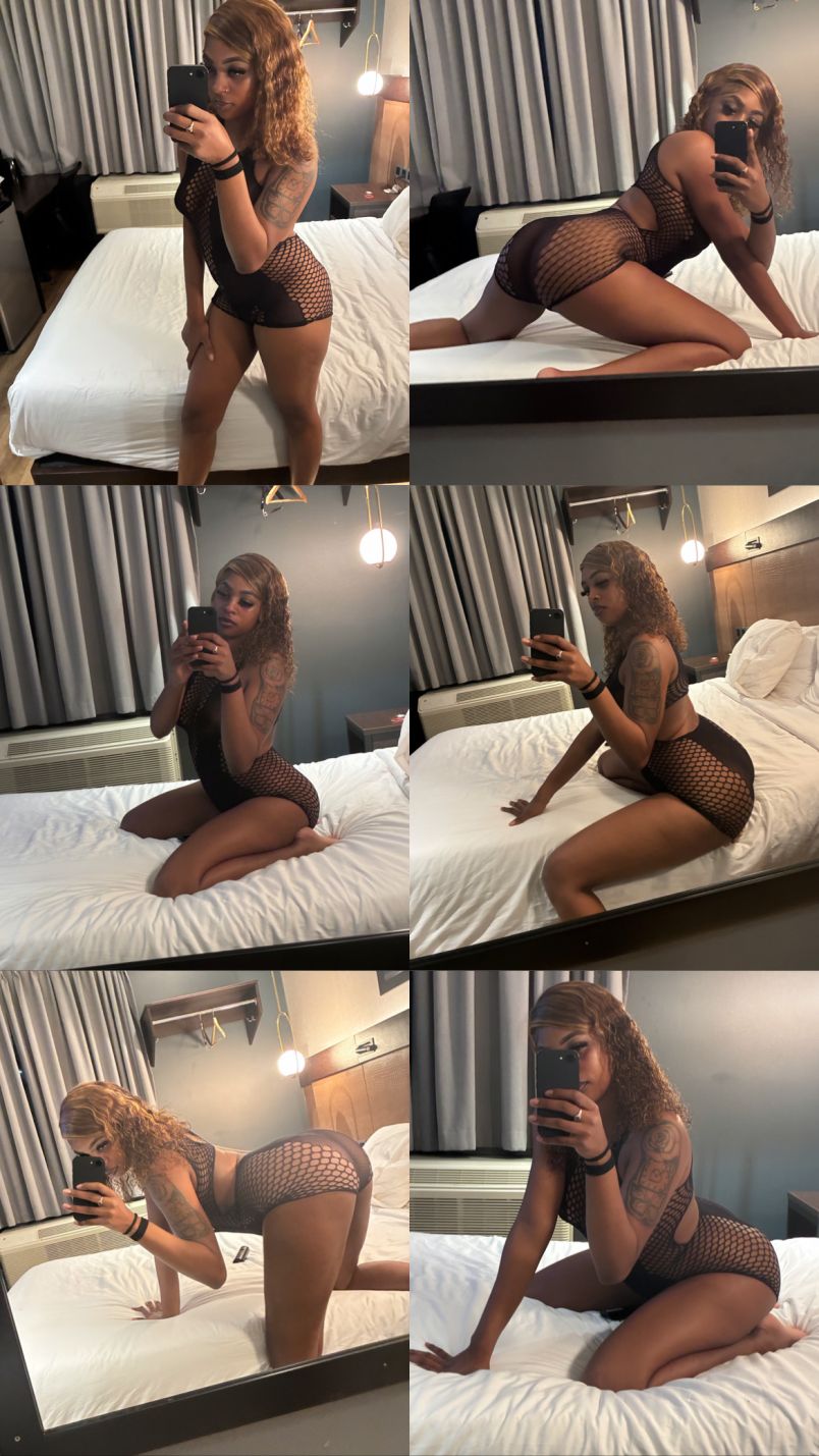 Ari 7