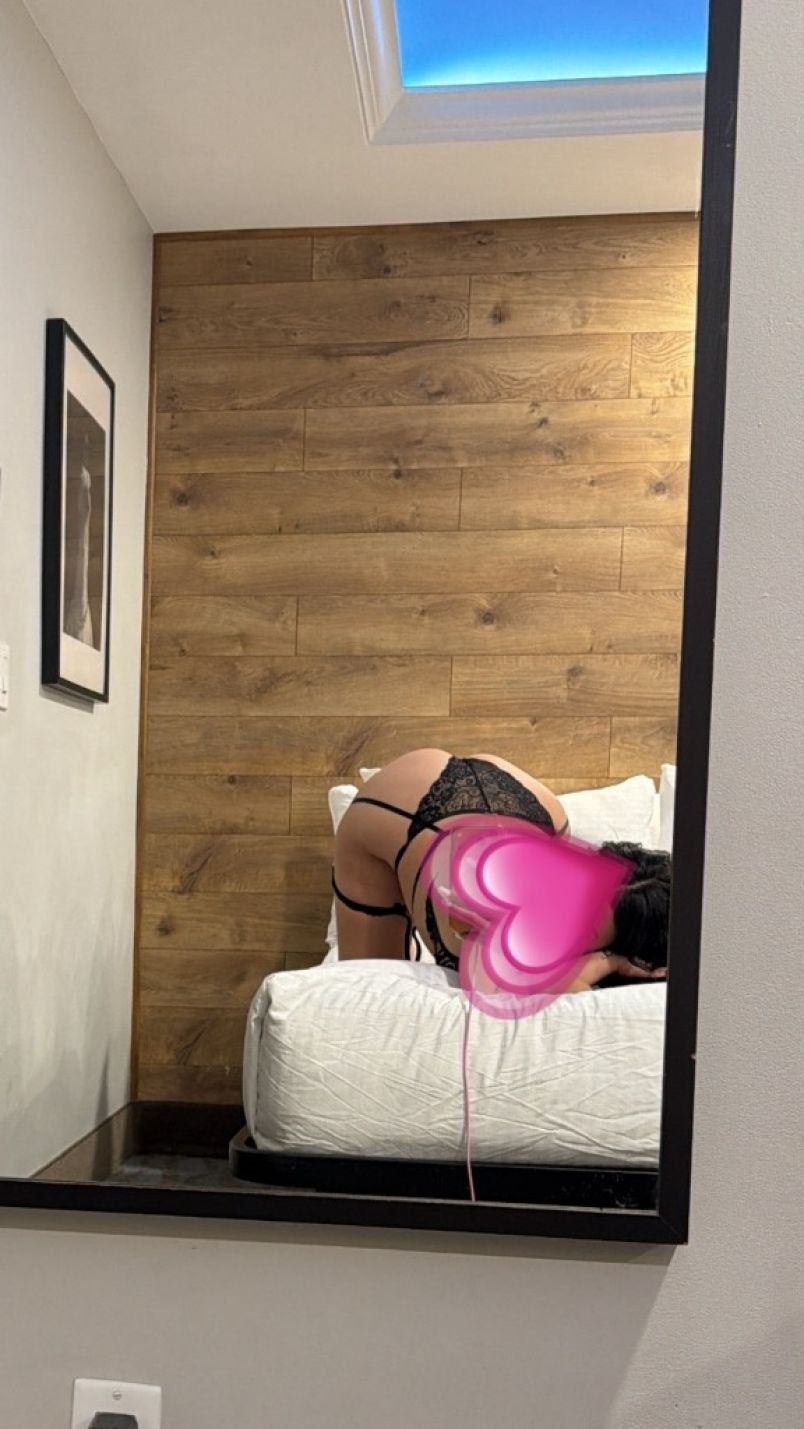 Rosa Enchantress 4