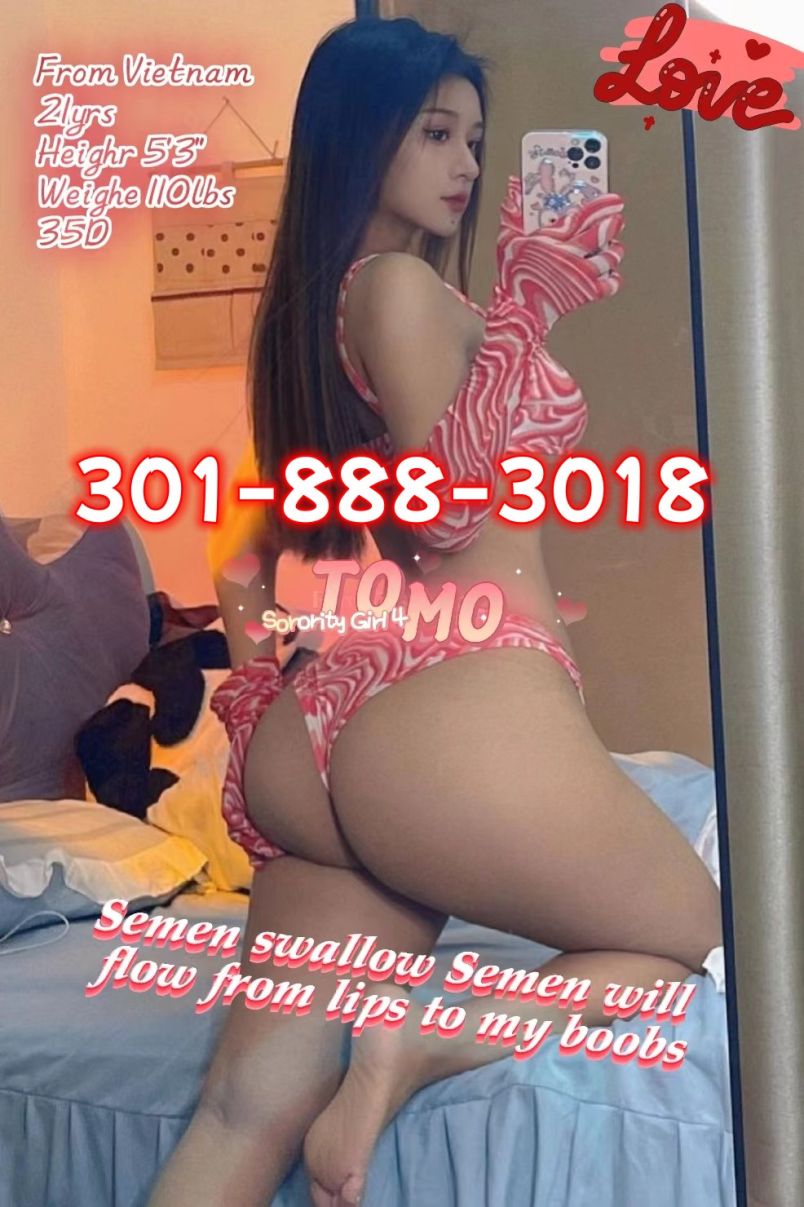 Lulu 3