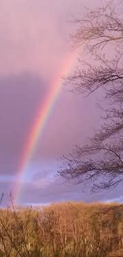 Ms Nuru Tantra Pamper 4