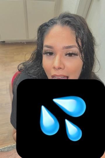 9516446102 1