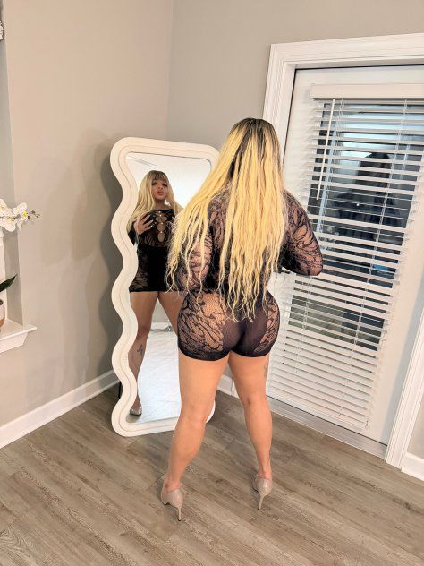 Paloma 2