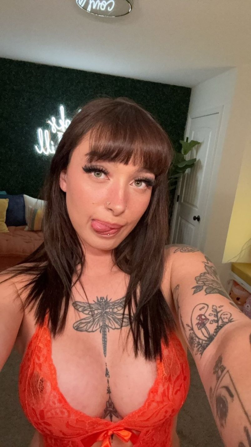 Noel 6