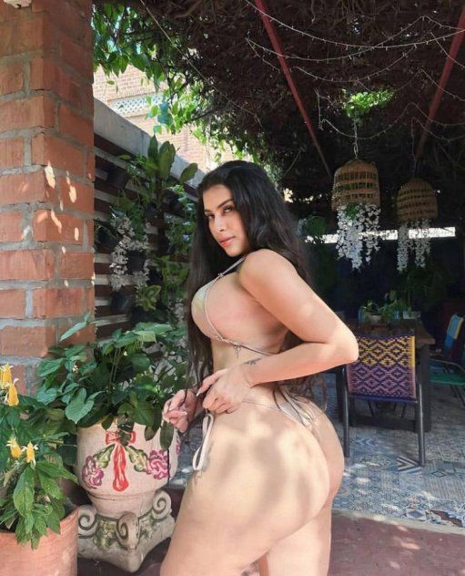 Honey 3