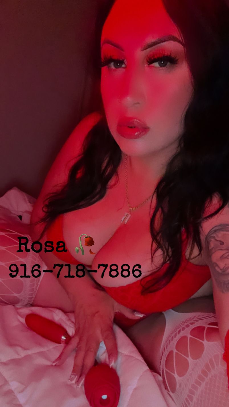 Latinmami 3
