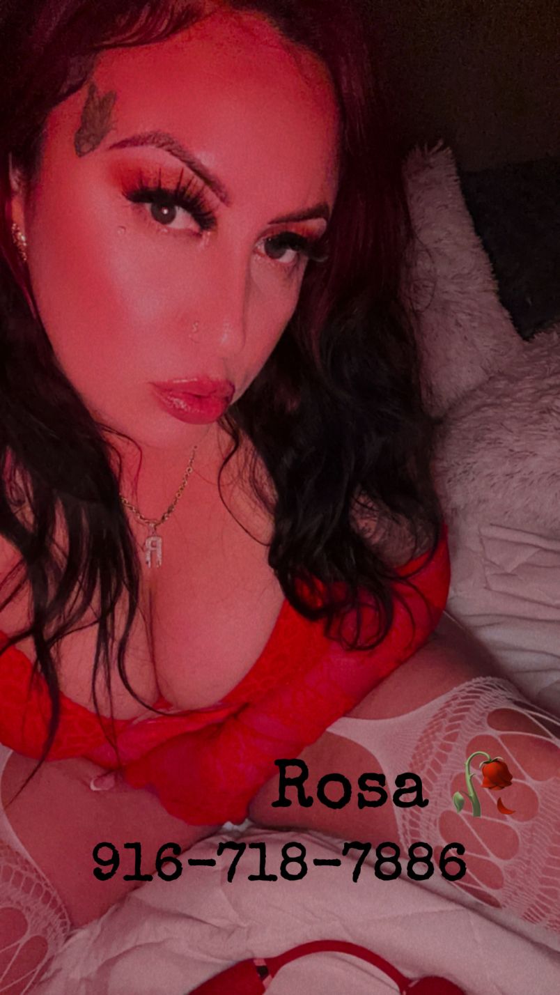 Latinmami 12